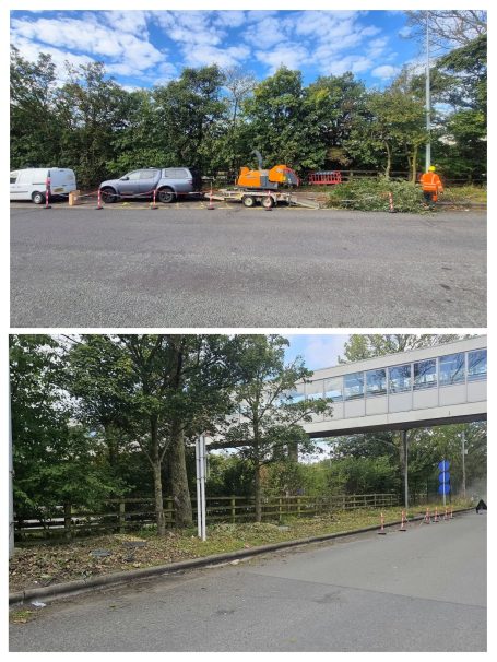 Tree clearance Lively scene of workers in orange vests clearing trees near vehicles and a building.