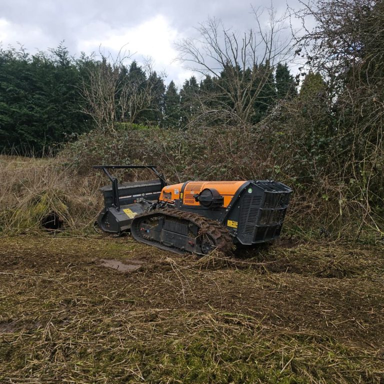 Robo Clearance Clearance job with the robot