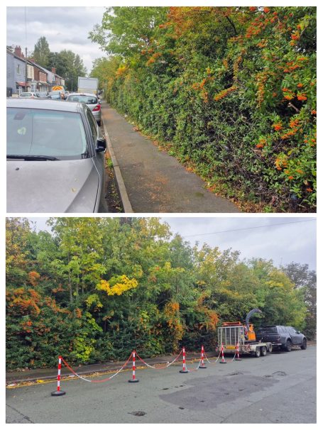 Hedge Reductions A green hedge lined with autumn foliage alongside parked cars and roadworks.